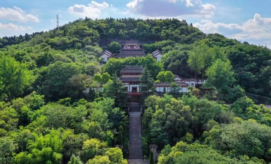 人文的双重, 让文旅市场, tted 人文的双重, 让文旅市场, tted